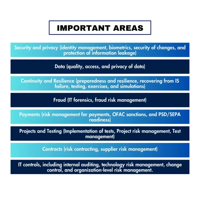 Information Systems Audit in Dubai