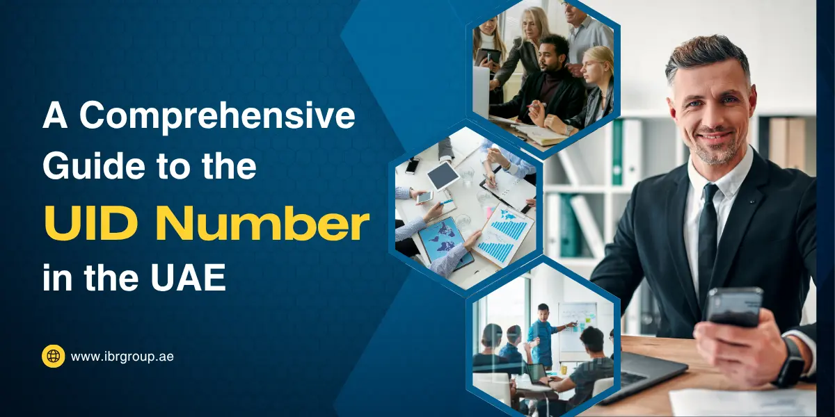 A Comprehensive Guide to the Unified Identification Number in the UAE